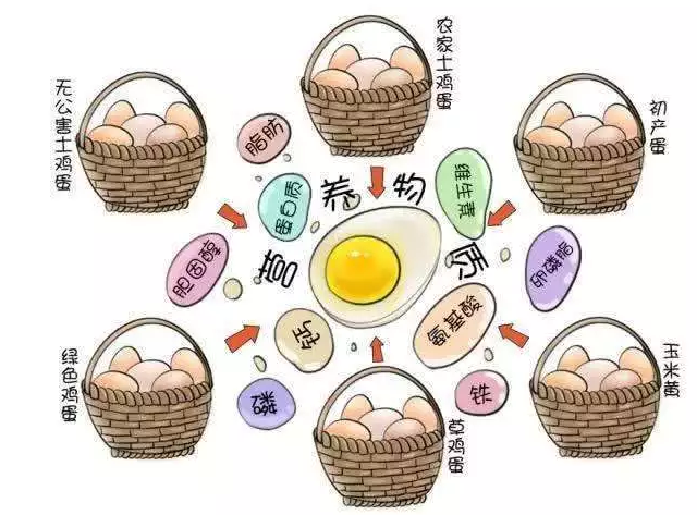 遍尋菜譜收集的雞蛋7中新吃法，第2中最好，第7中最營養(yǎng)